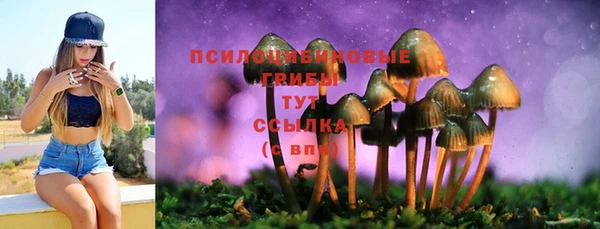 дживик Богданович