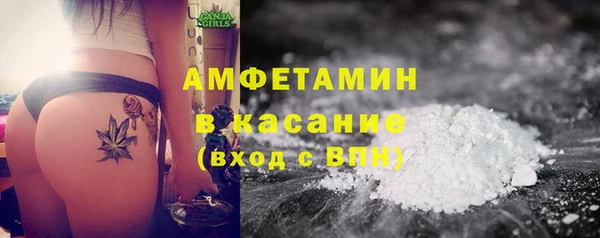 амф Бородино
