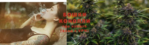 индика Бронницы