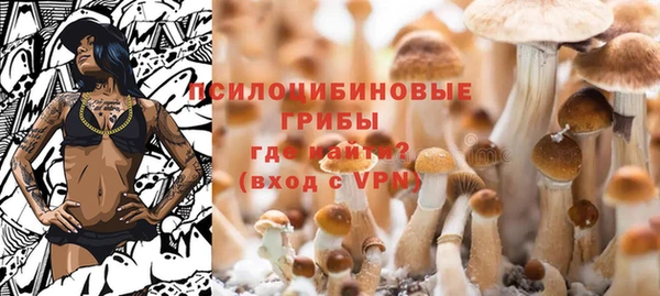 мдпв Бугульма