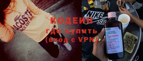 амф Бородино