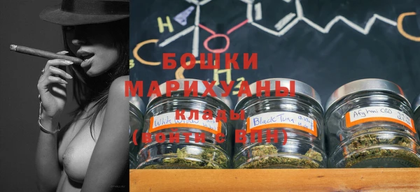 индика Бронницы