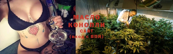 амф Бородино