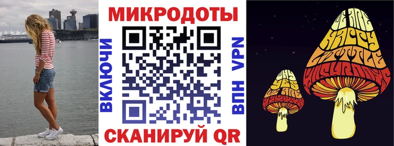 mega рабочий сайт  Гусев  Псилоцибиновые грибы прущие грибы 
