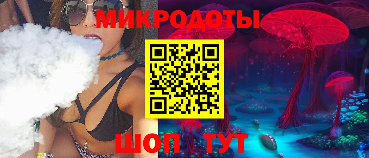 Гусев  Галлюциногенные грибы прущие грибы  Вход с VPN 